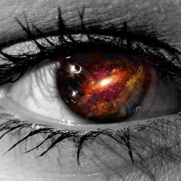 Meet your Posher, Brian - Picture 1 of 1